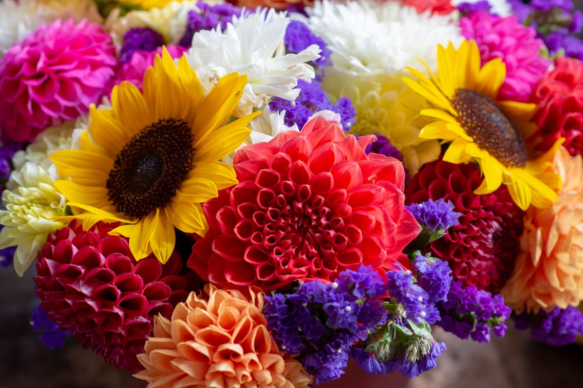 Fresh Cut Flowers