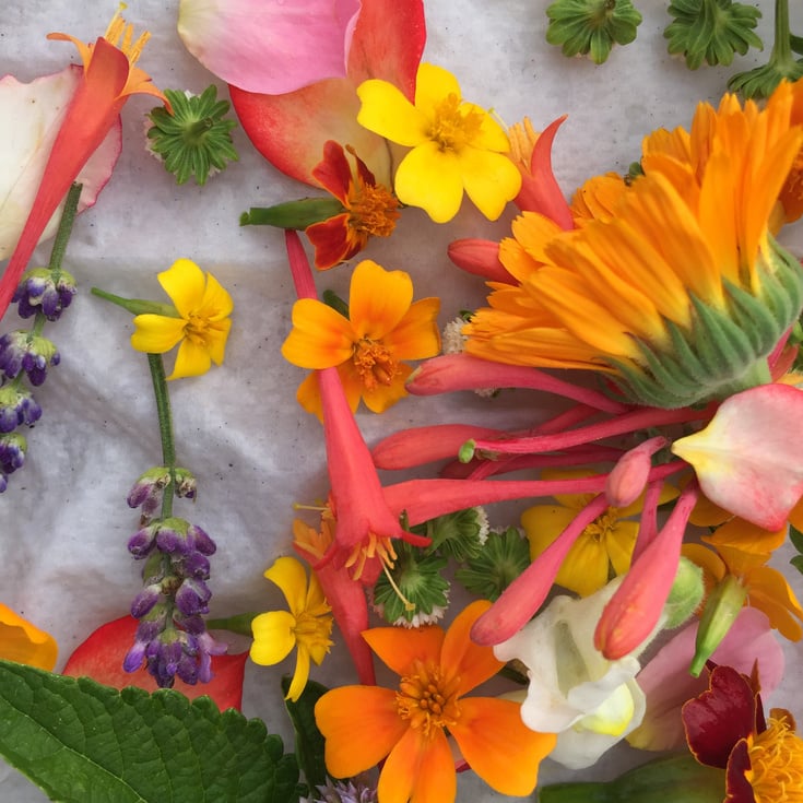 Colorful Edible Flowers