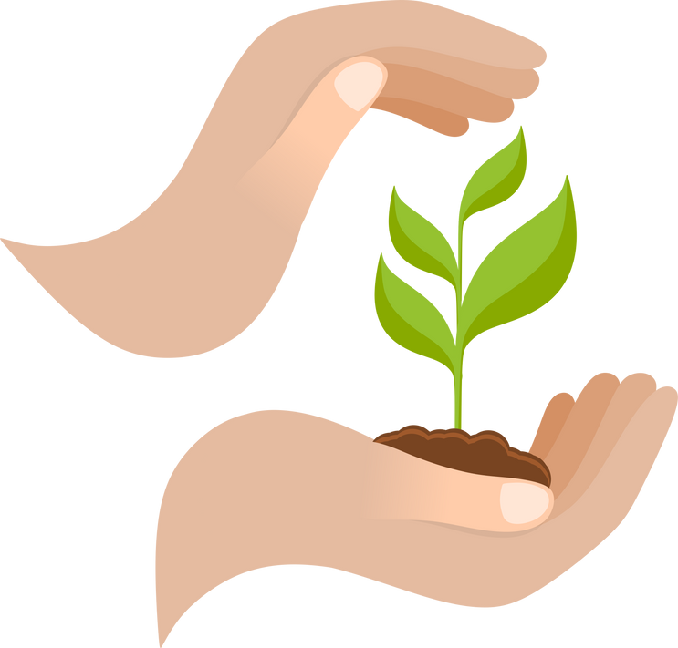 Plant in Hands Illustration